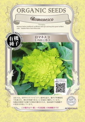 【有機種子】ロマネスコ / ベロニカ　小袋　　[栽培用 種子]