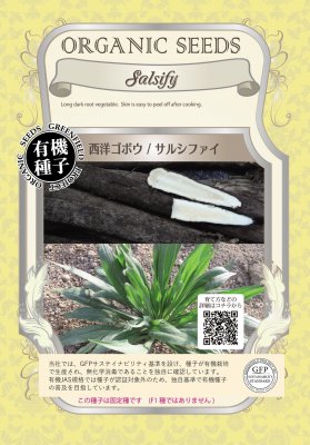 有機種子 【 西洋ゴボウ / サルシファイ 】 小袋 （栽培用 種子 根菜）