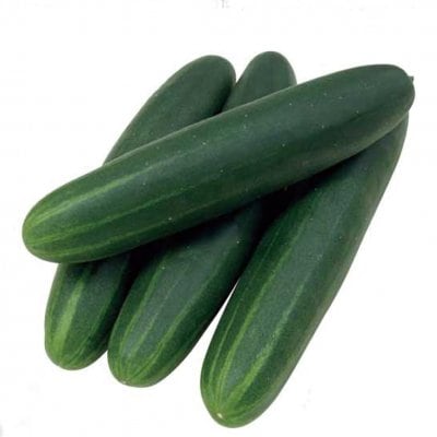 【有機種子】キュウリ / スライスタイプ 小袋 [栽培用 種子 果菜]
