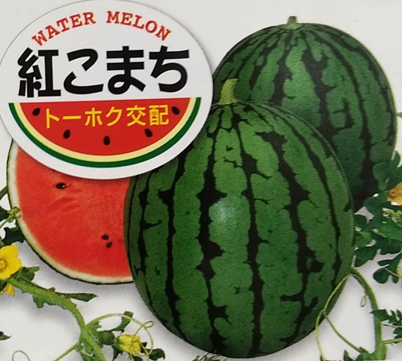 ※新種12月以降発送 スイカ種 【 F1紅こまち 】 小袋 （栽培用 種子 すいか 西瓜 トーホク）