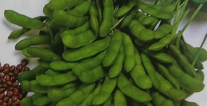 エダマメ種 夏の味 （1L）<br>[栽培用 種子 えだまめ 枝豆 生産者向け]