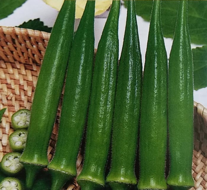 ※新種12月以降入荷予定　オクラ種 【 エメラルド 】 1L （栽培用 種子 おくら ネリ 陸蓮根 生産者向け トーホク）