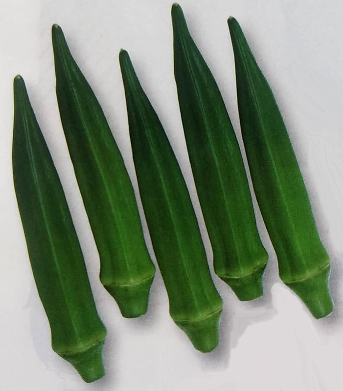 ※発芽率保証期限10月末まで　オクラ種 【 グリーンソード 】 1000粒 （栽培用 種子 おくら ネリ 陸蓮根 生産者向け タキイ）