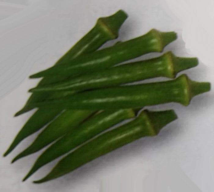 ※新種12月以降入荷予定　オクラ種 【 エメラルド 】 GF小袋 （栽培用 種子 おくら ネリ 陸蓮根 タキイ）