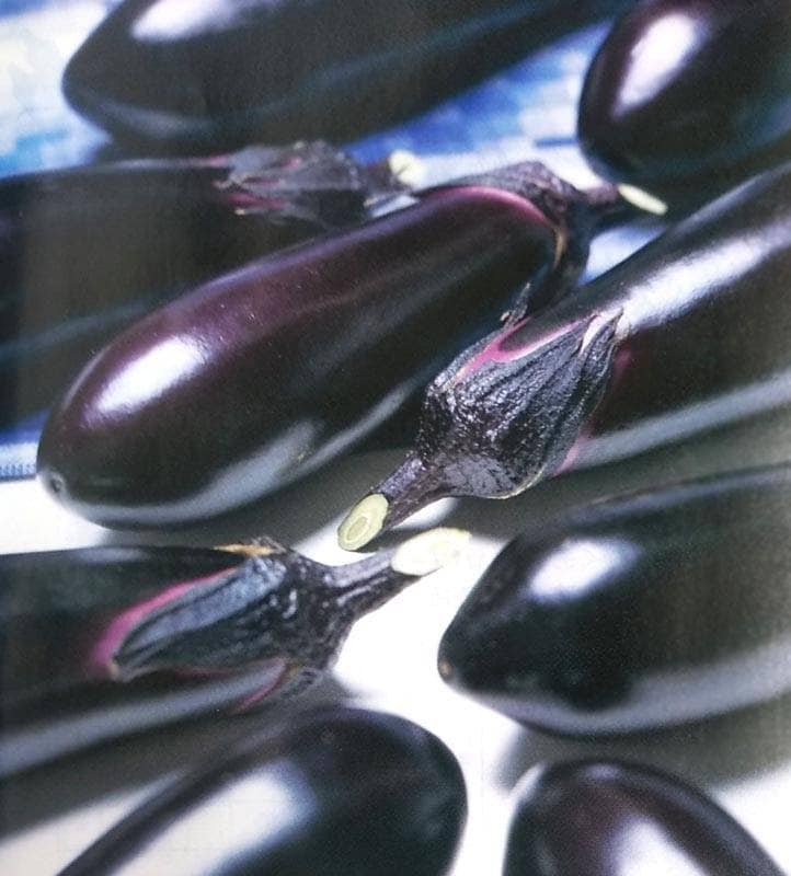 ナス種 【 とげなし千両二号 】 1000粒 （栽培用 種子 なす 茄子 生産者向け タキイ）（農林水産省登録品種 品種名：とげなし湖南1号）