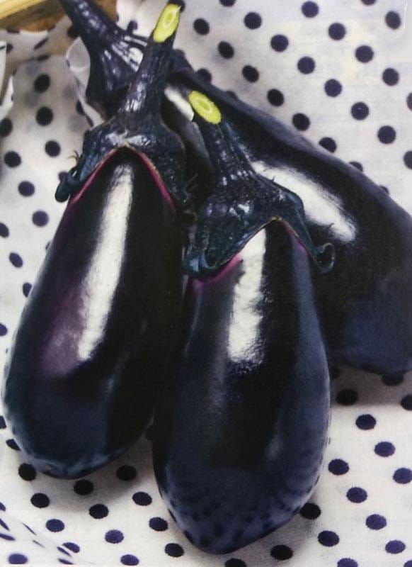 ナス種 【 みず茄 】 2000粒 （栽培用 種子 水なす 水茄子 みず茄子 生産者向け タキイ）