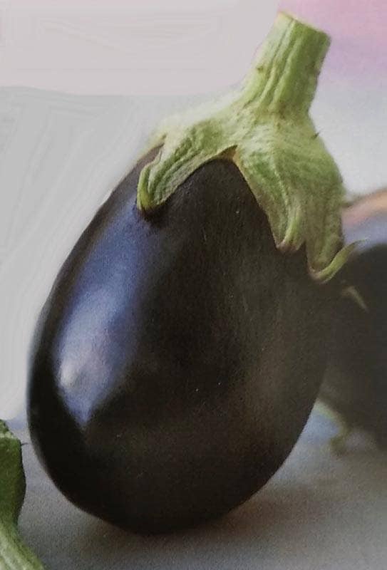 ナス種 【 くろわし 】 2000粒 （栽培用 種子 米なす 米茄子 生産者向け タキイ）