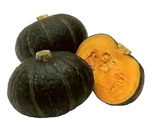 ※新種12月以降入荷後発送　カボチャ種　ほっこりえびす　(100粒)<br>[栽培用 種子 かぼちゃ 南瓜 生産者向け タキイ]