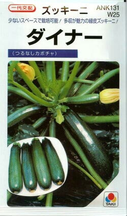 ズッキーニ種 【 ダイナー 】 100粒 （栽培用 種子 つるなしかぼちゃ 生産者向け タキイ）