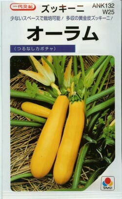 ※新種12月以降入荷後発送　ズッキーニ種 【 オーラム 】 100粒 （栽培用 種子 つるなしかぼちゃ 生産者向け タキイ）