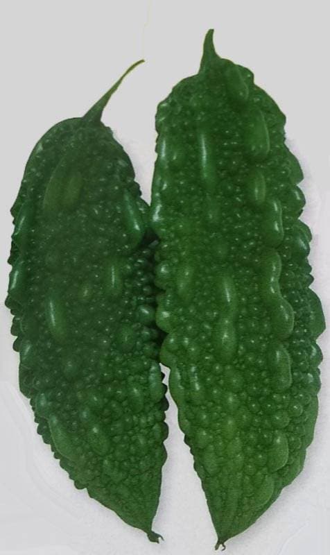 ※ 2023年度完売 ※ ゴーヤ種 【 太れいし 】 1dL （栽培用 種子 苦瓜 ニガウリ れいし レイシ 生産者向け タキイ）