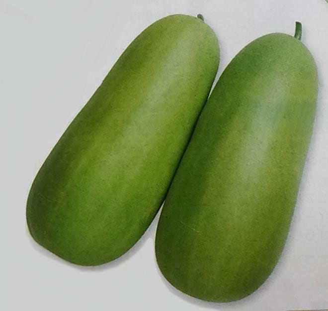 ウリ種　沼目白瓜　(500粒)<br>[栽培用 種子 シロウリ しろうり タキイ]