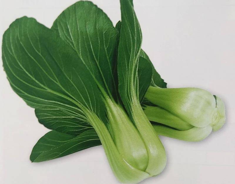 鸡毛菜苗　上海青 菜苗 ミニ青梗菜の苗　食用　ネコポスいっぱい 鸡毛菜苗 上海青 菜苗 ミニ青梗菜の苗 食用 ネコポスいっぱい 鸡毛菜苗上海