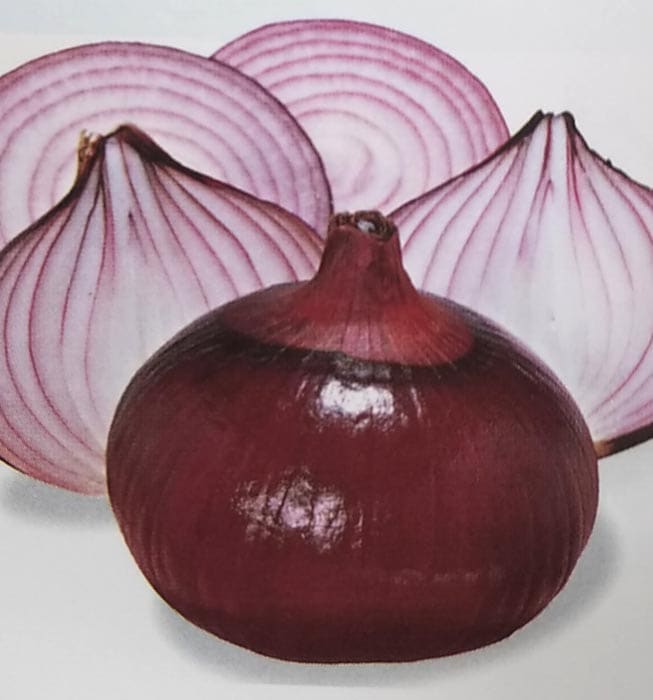 タマネギ種 【 赤玉ねぎ 】 2dL （たまねぎ 玉ねぎ 玉ネギ 玉葱 生産者向け トーホク）