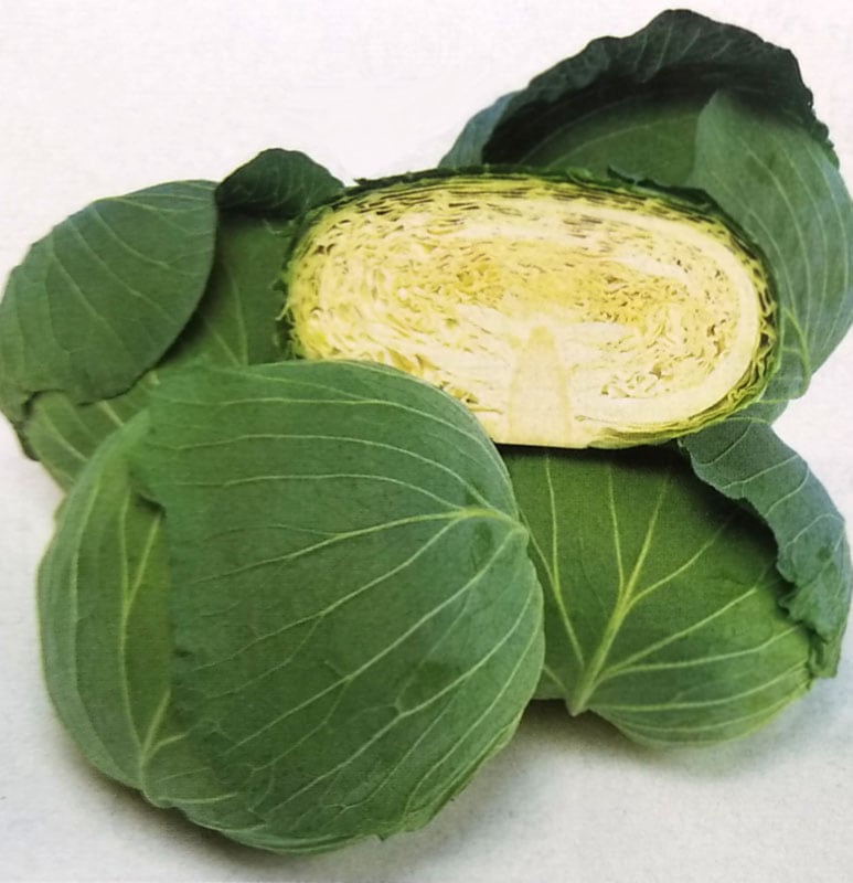 キャベツ種　彩里　(2000粒)<br>[栽培用 種子 きゃべつ 甘藍 生産者向け タキイ]