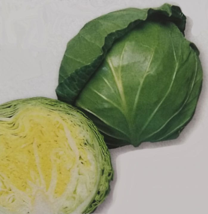 キャベツ種　ジャンヌ　(2000粒)<br>[栽培用 種子 きゃべつ 甘藍 グリーンボール 生産者向け タキイ]