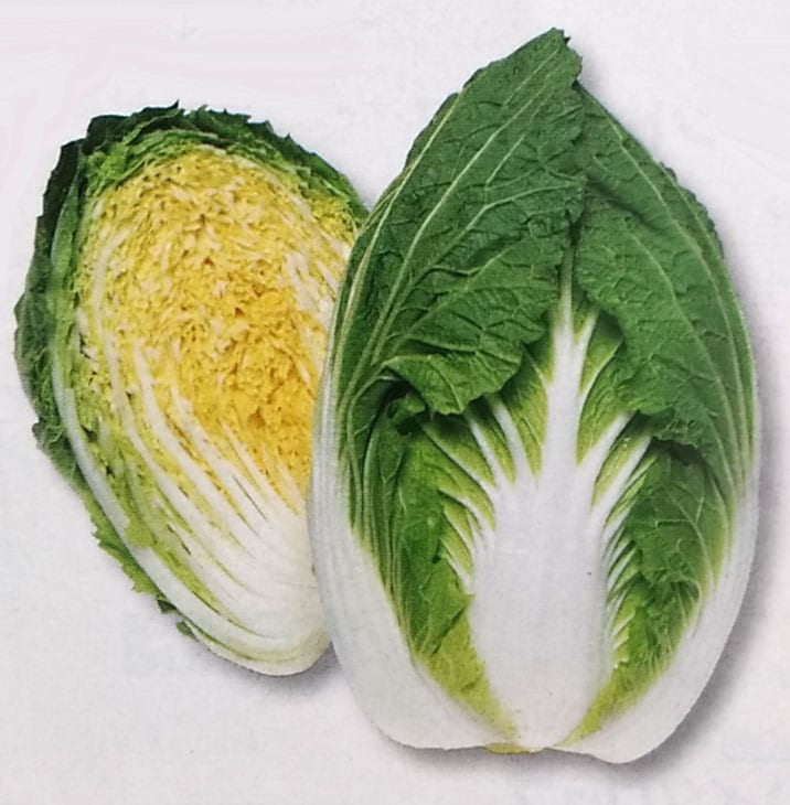 ハクサイ種 【 春笑プライミングペレット種子100粒 （栽培用 種子 白菜 はくさい タキイ）