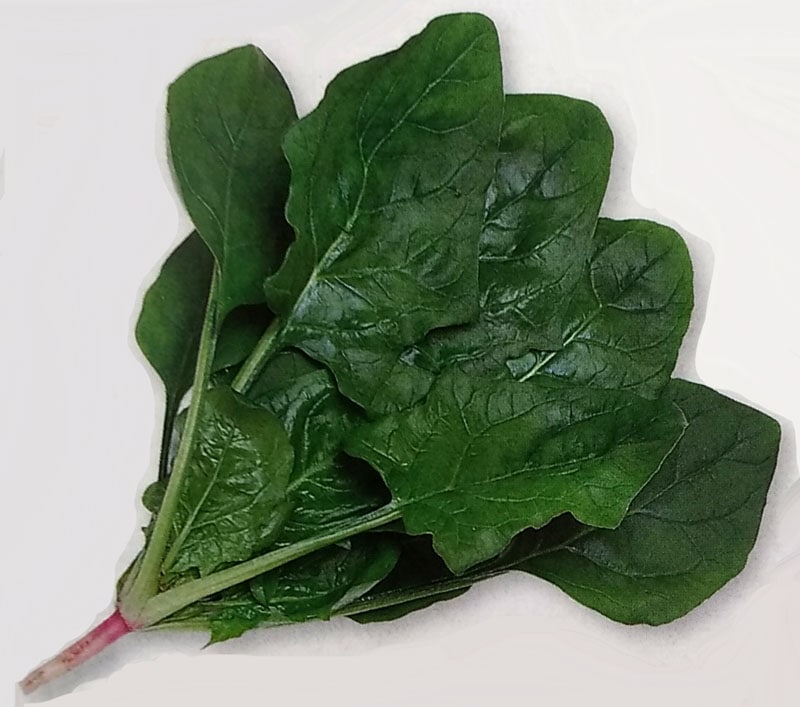 ホウレンソウ種 【 強力オーライ 】 1L （栽培用 種子 ほうれんそう ほうれん草 法蓮草 生産者向け タキイ）