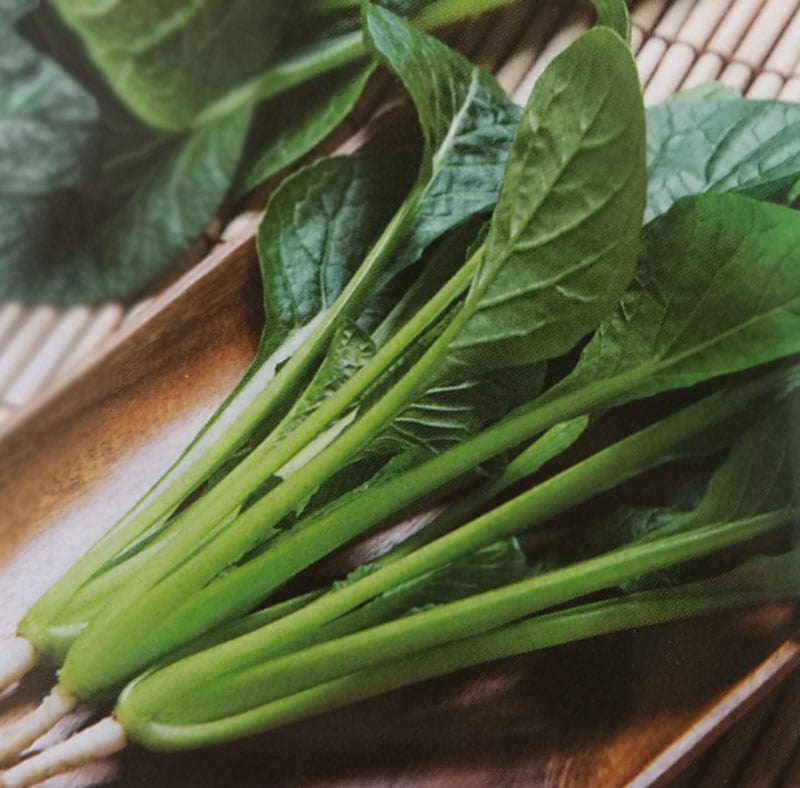 コマツナ種 【 菜々音 】 20ml （栽培用 種子 こまつな 小松菜 タキイ）