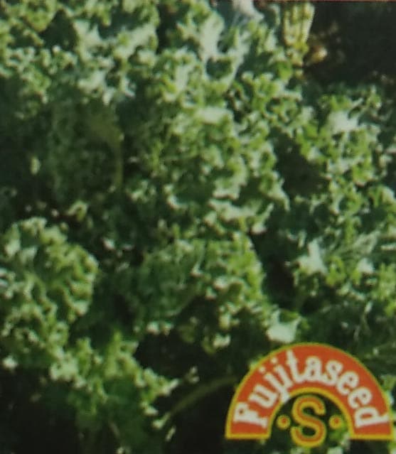 ケール種　サイベリアン 1ml　[栽培用 種子 健康野菜 藤田]