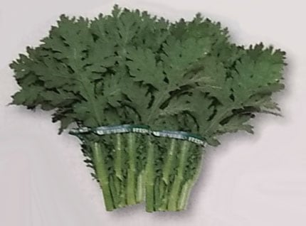 シュンギク種　きわめ中葉春菊　90ml　[栽培用 種子 しゅんぎく 春菊 タキイ]