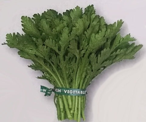 シュンギク種 【 中葉春菊 】 GF小袋 （栽培用 種子 しゅんぎく 春菊 タキイ）