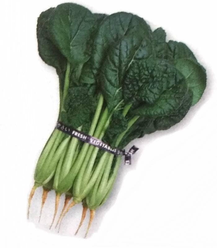 ※新種6月以降入荷後発送予定<br>チヂミナ種 【 みそめ 】 GF小袋 （栽培用 種子 ちぢみな ちぢみ菜 タキイ）