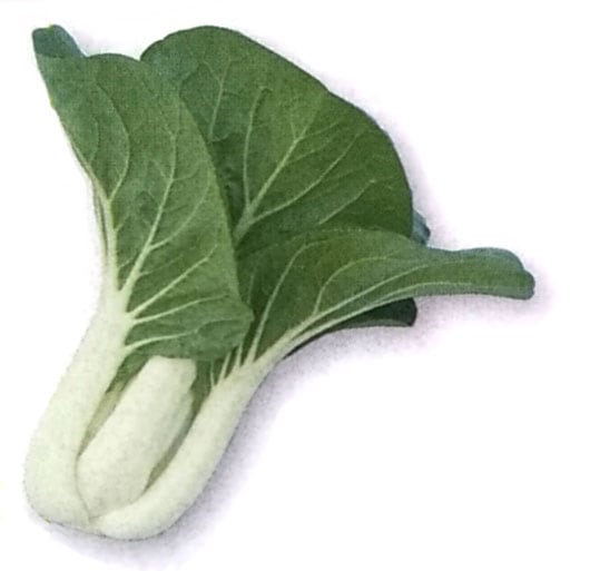 白軸チンゲンサイ種　タキイのパクチョイ　(1dL)　[栽培用 種子 ちんげんさい 広東白菜 白梗菜 中国野菜種 生産者向け タキイ]