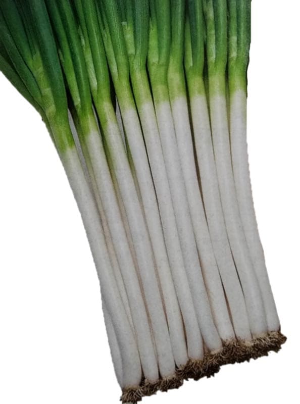 ネギ種 【 ホワイトソード 】 DF小袋 （栽培用 種子 ねぎ 葱 タキイ）