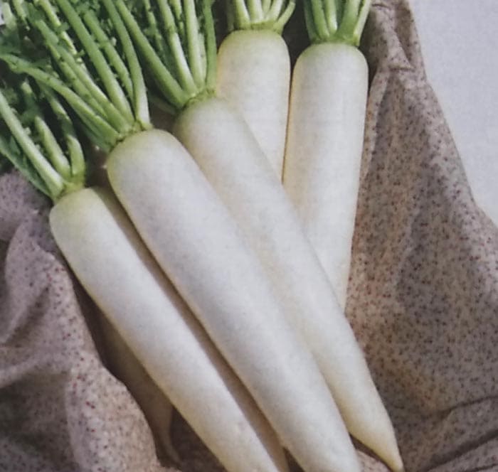 ダイコン種 【 トップランナー 】 2dL （栽培用 種子 大根 だいこん 生産者向け タキイ）