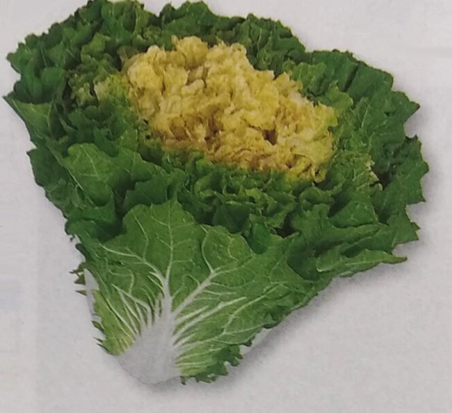 ハクサイ種 【 新あづま 】 DF小袋 （栽培用 種子 白菜 はくさい タキイ）