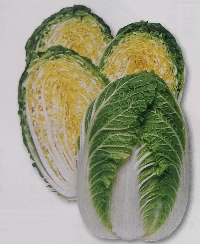 ハクサイ種 【 黄ごころ90 】 ペレット種子 5000粒 （栽培用 種子 白菜 はくさい 生産者向け タキイ）