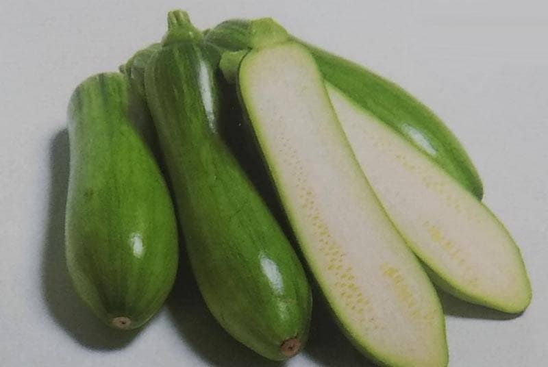 ※新種12月以降入荷予定<br>ズッキーニ種 【 マッチャン 】 実咲小袋 （栽培用 種子 韓国カボチャ サカタ）