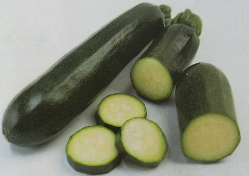 ※新種12月以降入荷予定 ズッキーニ種 【 ダークヤングマン 】 100粒 （栽培用 種子 生産者向け サカタ）