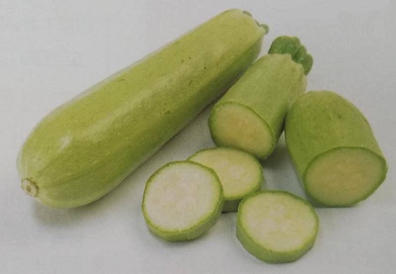 ズッキーニ種 【 オリーブヤングマン 】 実咲小袋 （栽培用 種子 サカタ）