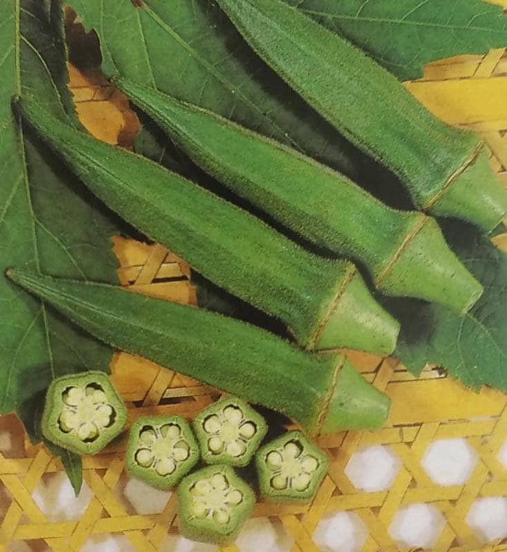 オクラ種 【 ピークファイブ 】 20ml （栽培用 種子 おくら ネリ 陸蓮根 サカタ）