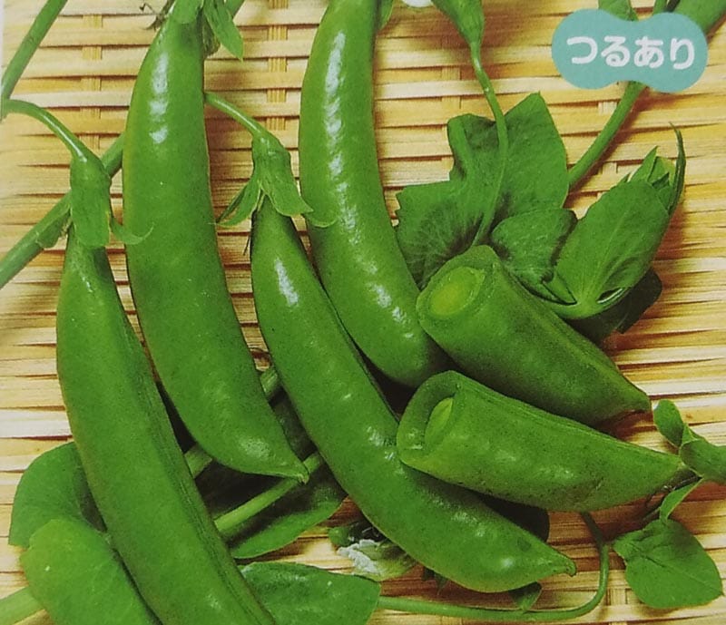 エンドウマメ種　スナック　(1L)<br>[栽培用 種子 エンドウ種 えんどうまめ 豌豆 生産者向け サカタ][品種名：スナック]