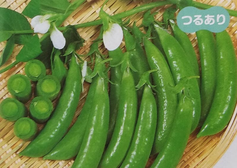 ※新種12月以降入荷予定<br>エンドウマメ種　スナック753　(小袋)<br>[栽培用 種子 エンドウ種 えんどうまめ 豌豆 サカタ][品種名：スナック753]