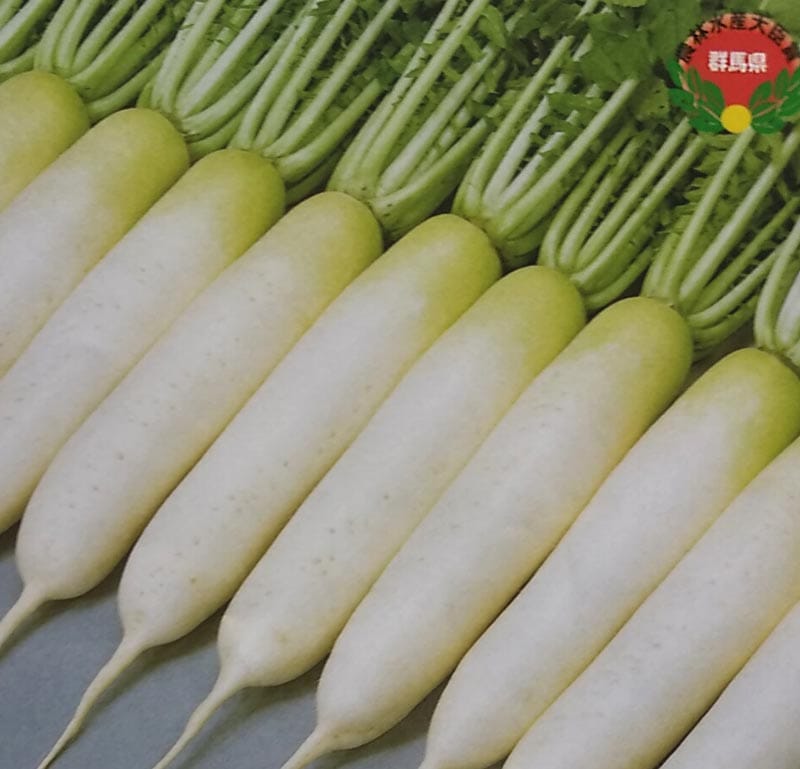 ダイコン種  献夏37号 ペレット種子(5000粒)<br>[栽培用 種子 だいこん 大根 生産者向け サカタ]