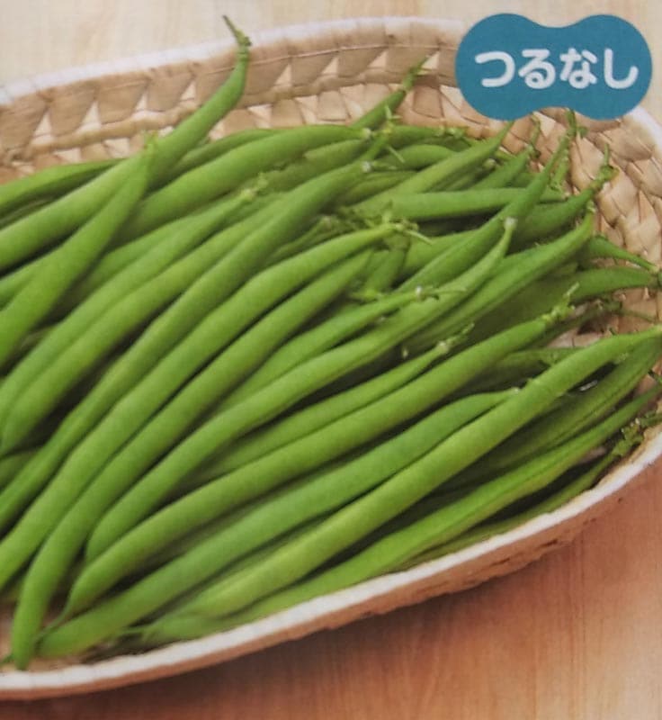 インゲン種　サクサク王子ネオ　(1L)<br>[栽培用 種子 つるなしいんげん 隠元豆 生産者向け サカタ][農林水産省登録品種 品種名：SAKBEA003 海外持出禁止(公示(農林水産省HP)参照) ]