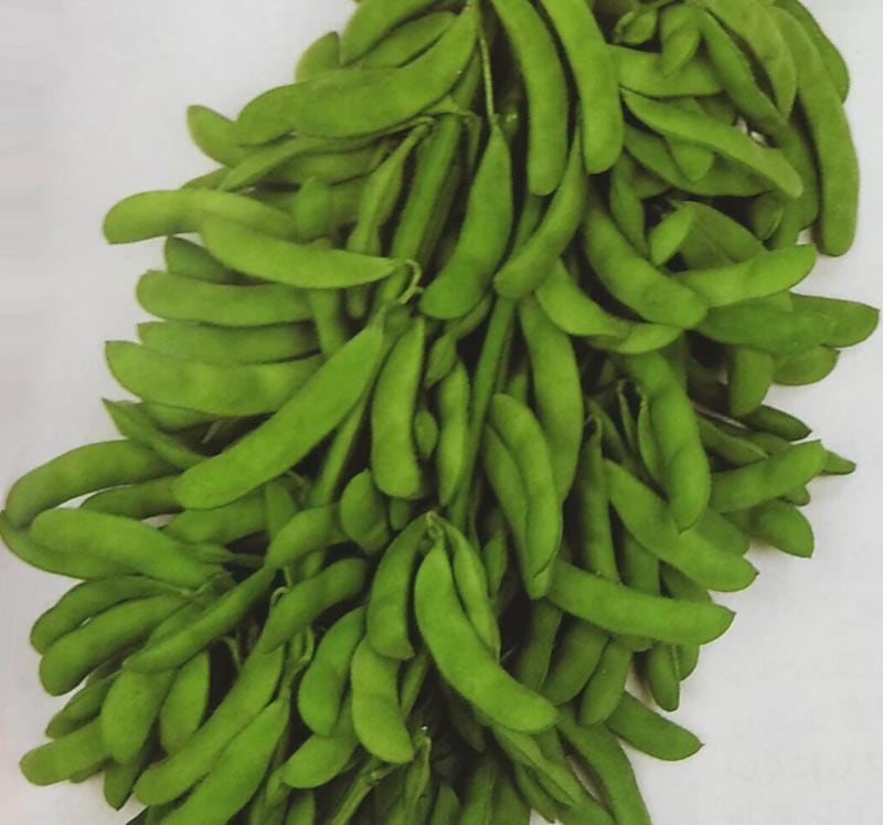 エダマメ種　とびきり　(1L)<br>[栽培用 種子 えだまめ 枝豆 生産者向け サカタ][農林水産省登録品種 品種名：SAKSOY007 海外持出禁止(公示(農林水産省HP)参照) ]