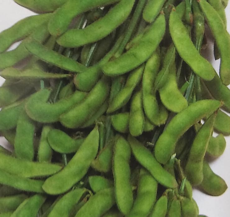 ※新種2025年1月下旬以降入荷予定<br>エダマメ種 【 おつな姫 】 実咲小袋 （栽培用 種子 えだまめ 枝豆 サカタ）（農林水産省登録品種 品種名：三郷WA1 海外持出禁止）