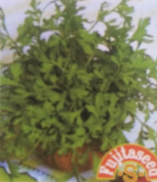 コショウソウ種 【 切葉ランドクレス（ガーデンクレス）】 小袋 （栽培用 種子 健康野菜 藤田）