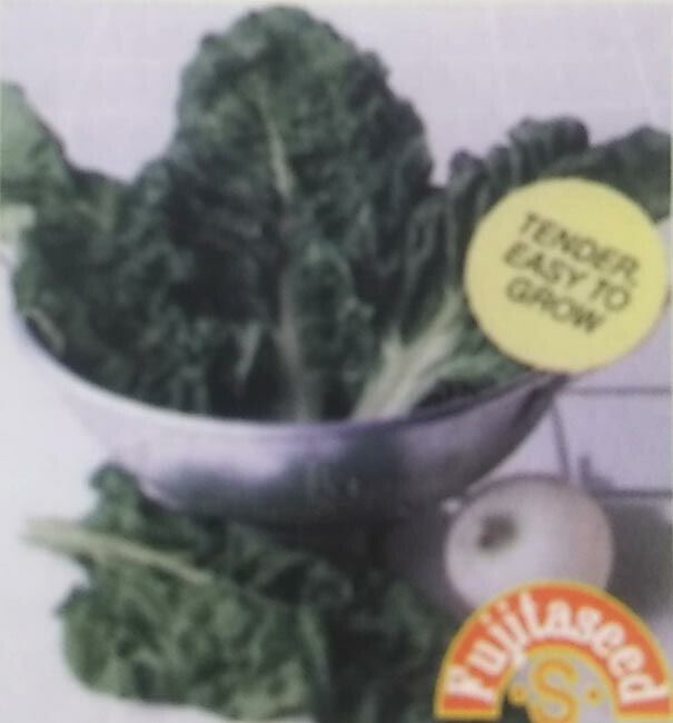 フダン種 【 スイスチャード ホワイト 】 小袋 （栽培用 種子 健康野菜 藤田）