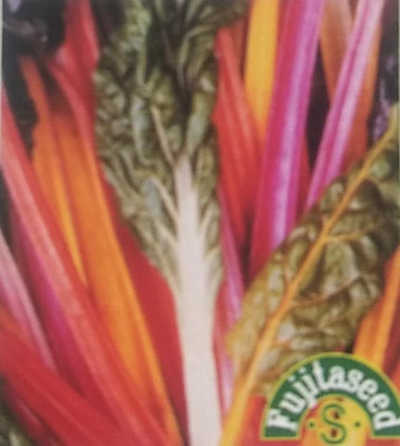 フダン種 【 スイスチャード ミックス 】 小袋 （栽培用 種子 健康野菜 藤田）