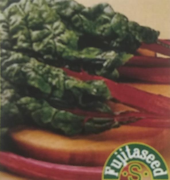 フダン種 【 スイスチャード レッド 】 小袋 （栽培用 種子 健康野菜 藤田）