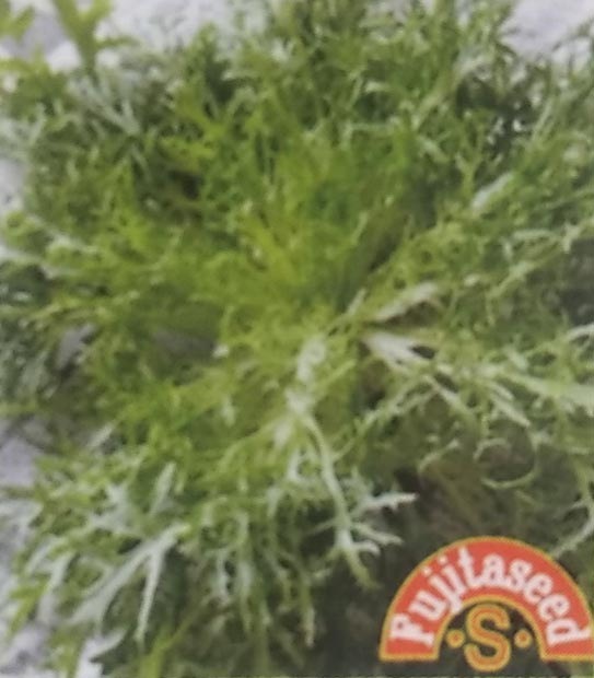 エンダイブ　フリース２　1ml　[栽培用 種子 藤田]