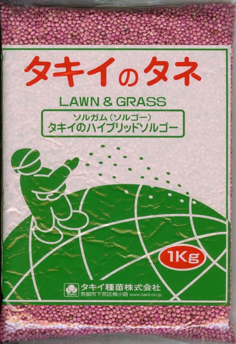 ★ソルゴー種 【 ハイブリッドソルゴー 】 1kg （ソルゴー ソルガム 牧草種子 カネコ・タキイ・雪印）