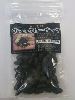 ★ピーナッツ種 【 黒落花生（ブラックピーナッツ）】 1dL （栽培用 種子 ピーナツ ラッカセイ フタバ）