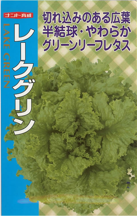 ★レタス種 【 レークグリーン 】 1ml （栽培用 種子 チシャ 苣 ナント）